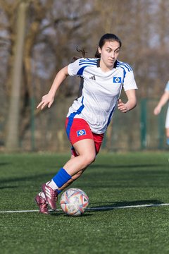 Bild 228 - F Hamburger SV 3 - Blau-Weiss 96 : Ergebnis: 5:1